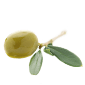schwebende Olive