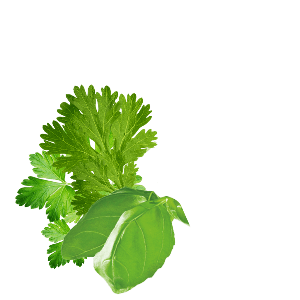 Caucasian Herbs Conent Pl