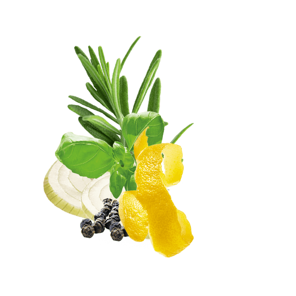 Fish With Lemon Content Ru
