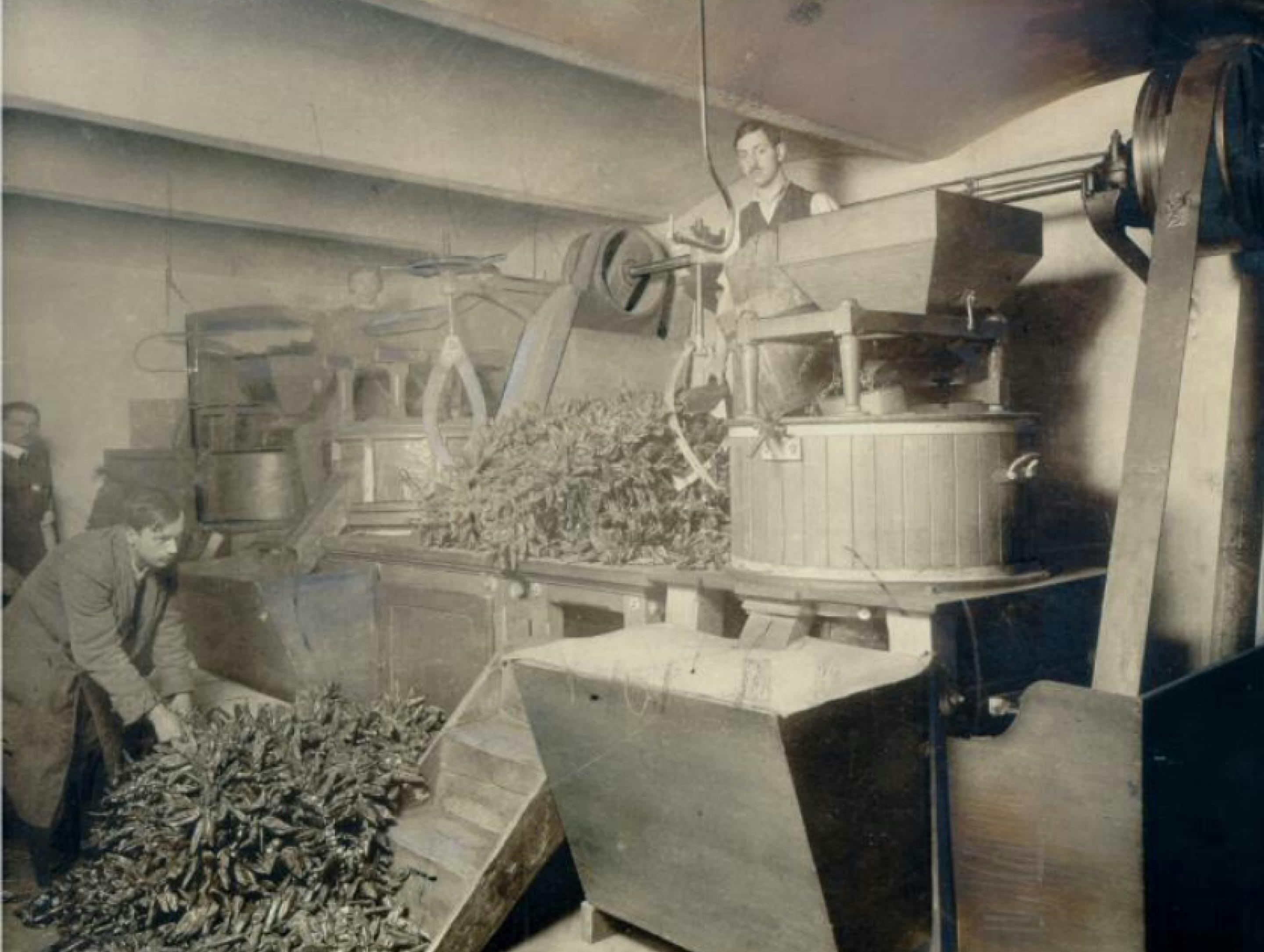 Черно-белая фотография: мельница по переработке паприки Kotányi, 1881 год