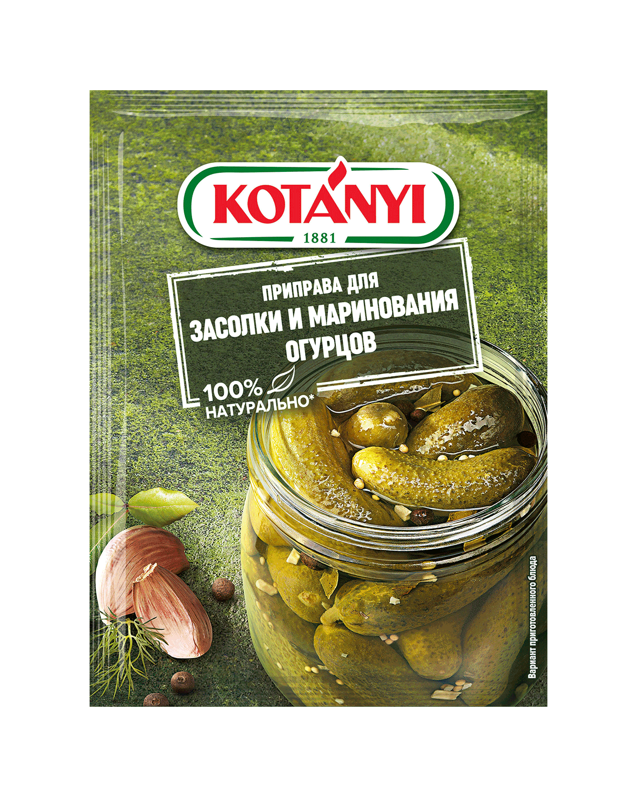 9001414019641 196411 Kotányi Pickling Spices Gherkin Ru Pouch Vs