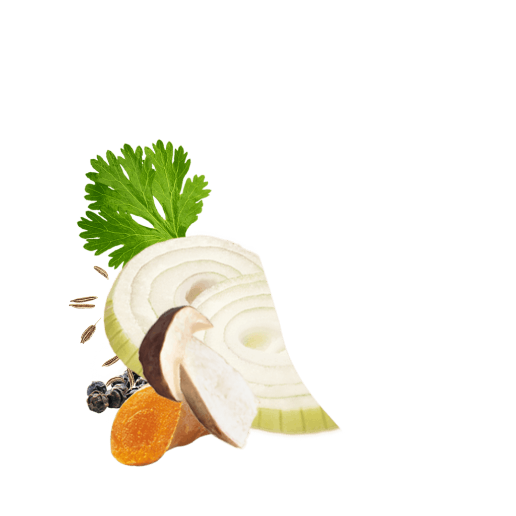 Detailbild Mushroomandonions