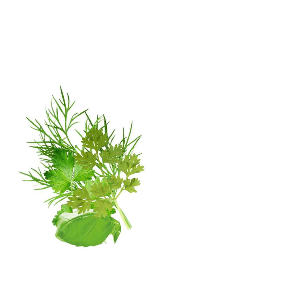 Ru Herbsforfish