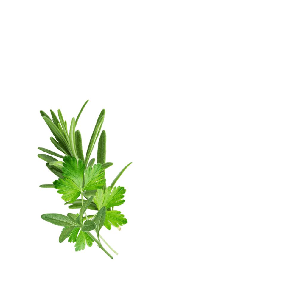 Ru Herbsformeat