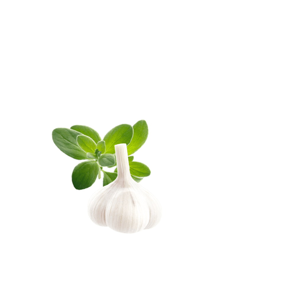 Crispypoh Garlic Content